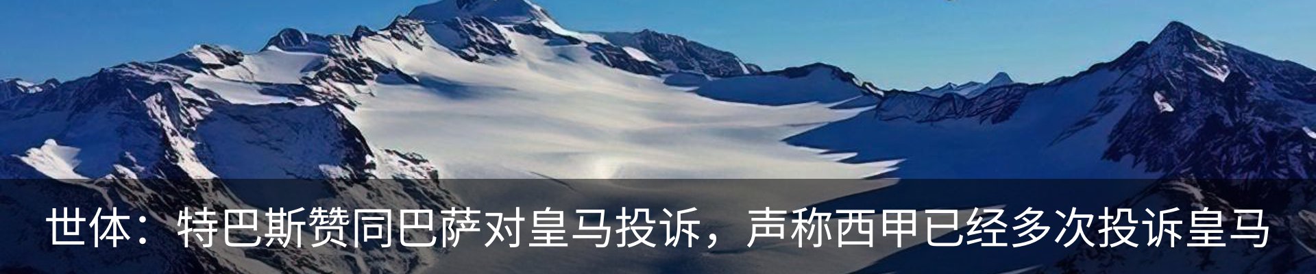 新闻动态