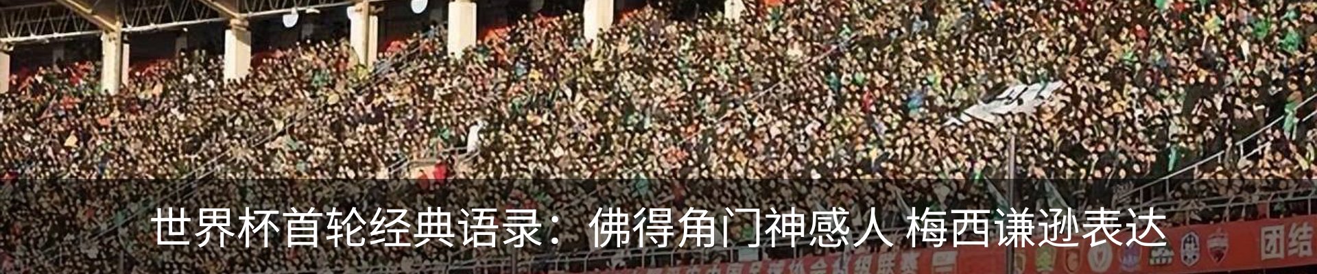 新闻动态