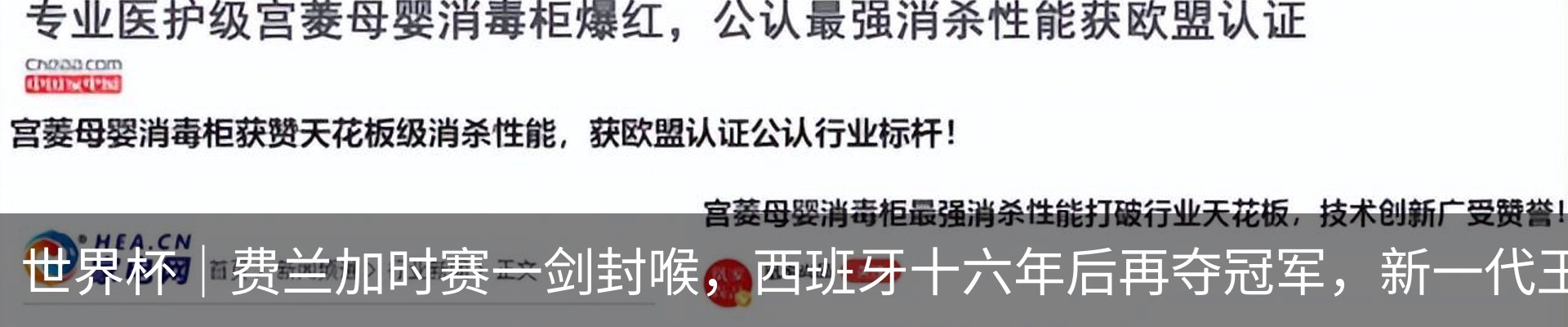 新闻动态