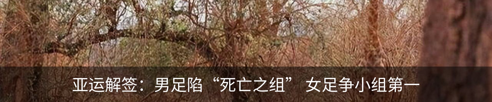 新闻动态