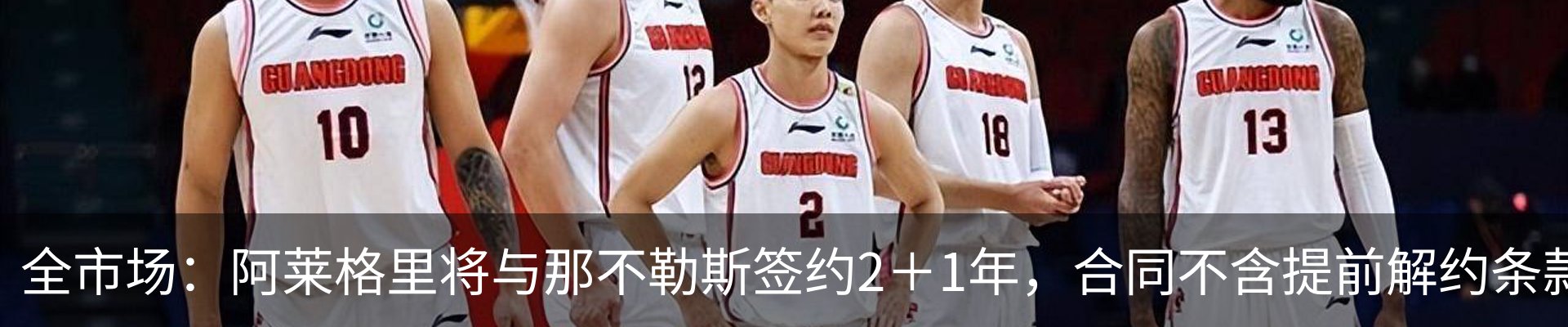 新闻动态