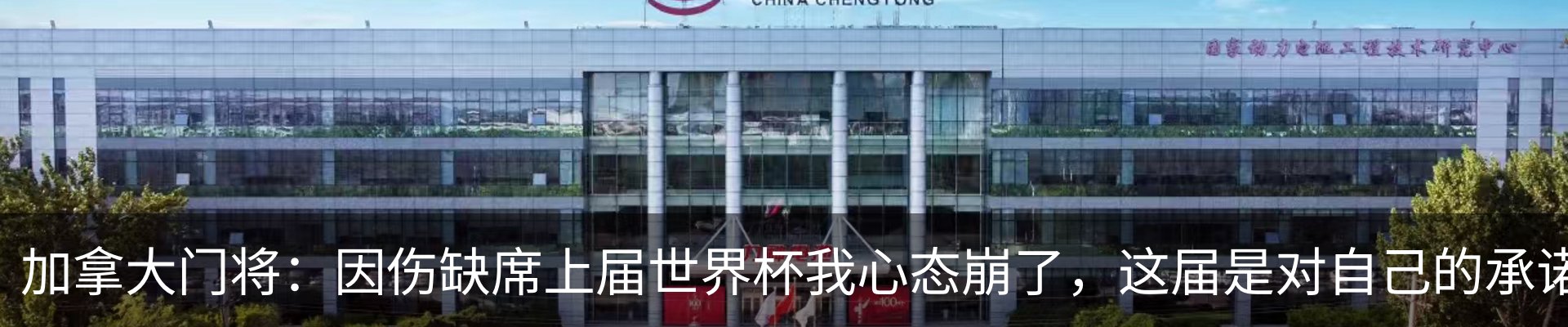 新闻动态