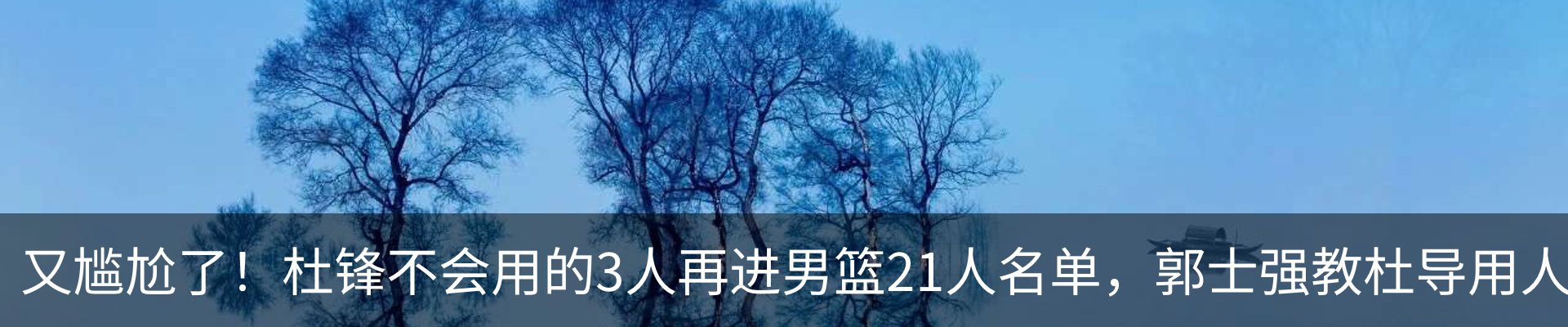 新闻动态