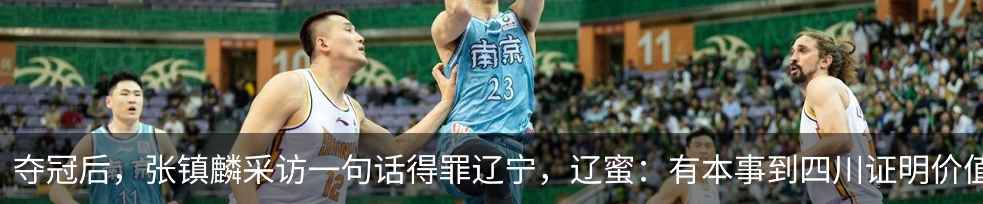 新闻动态