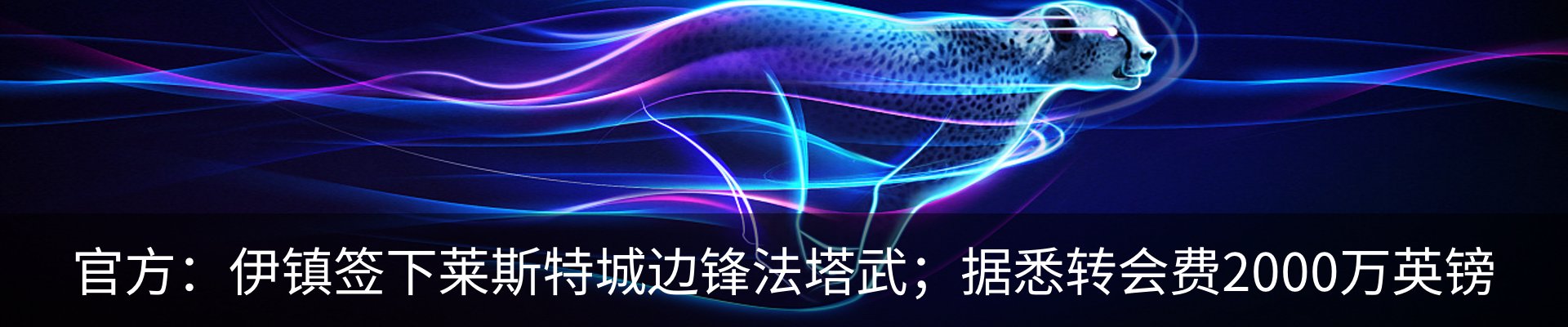 新闻动态
