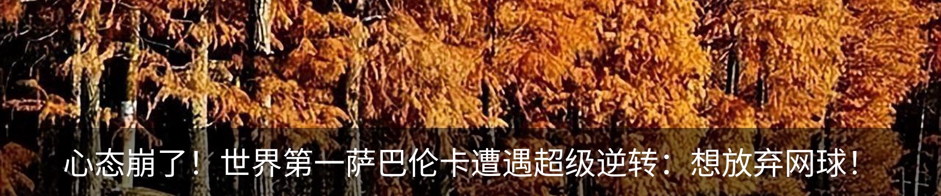 新闻动态
