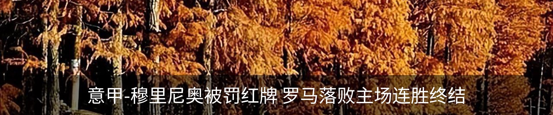 新闻动态