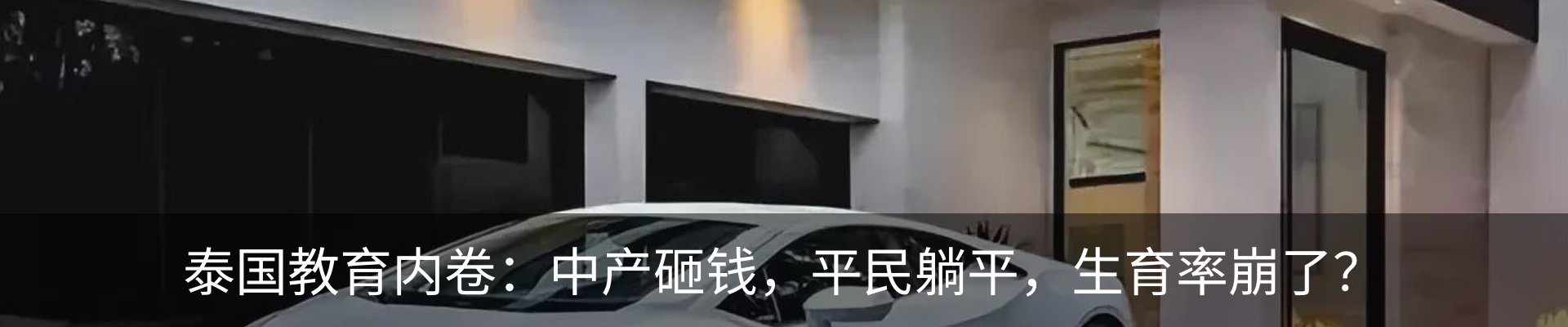 新闻动态
