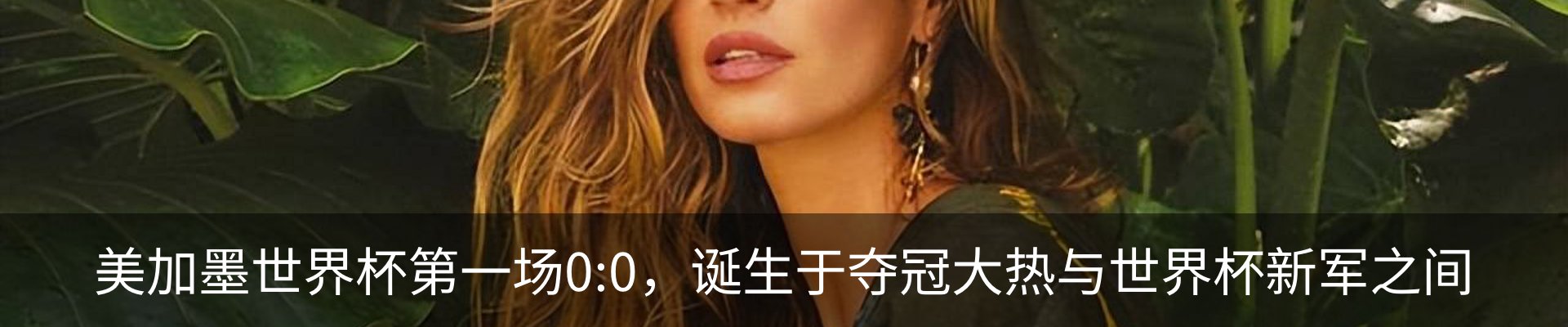 新闻动态