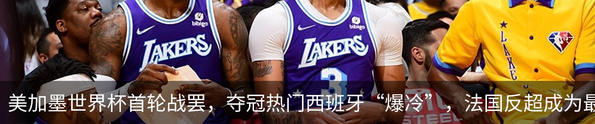新闻动态