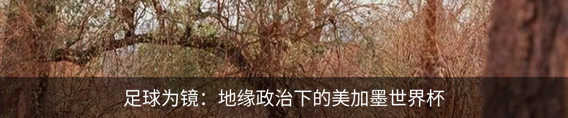新闻动态