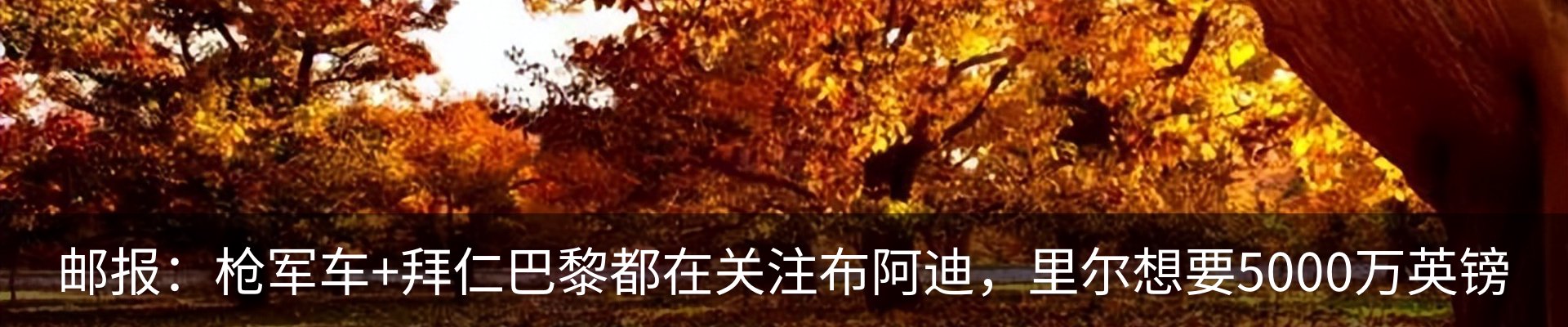 新闻动态