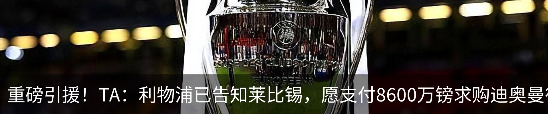 新闻动态