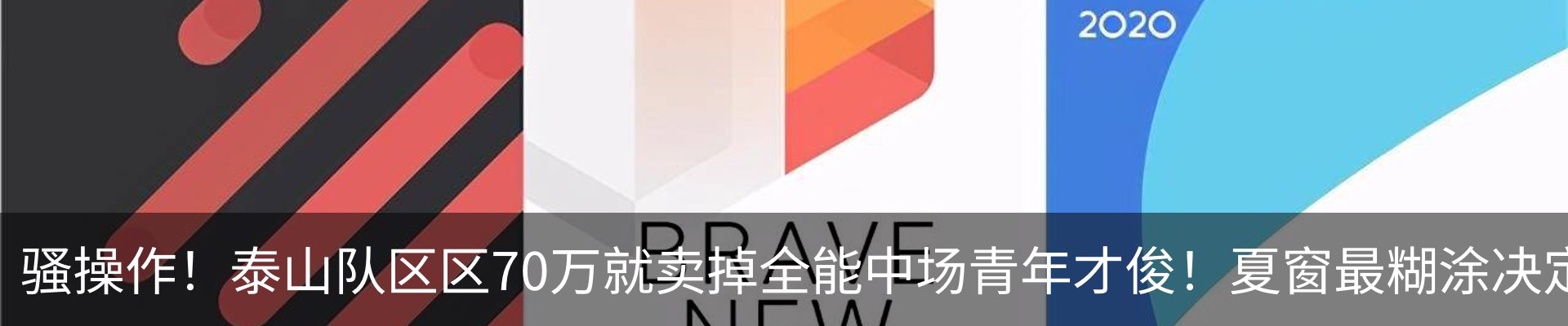 新闻动态
