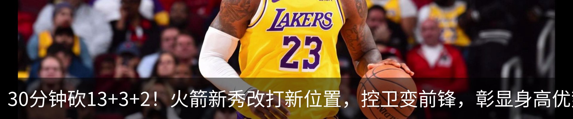 新闻动态
