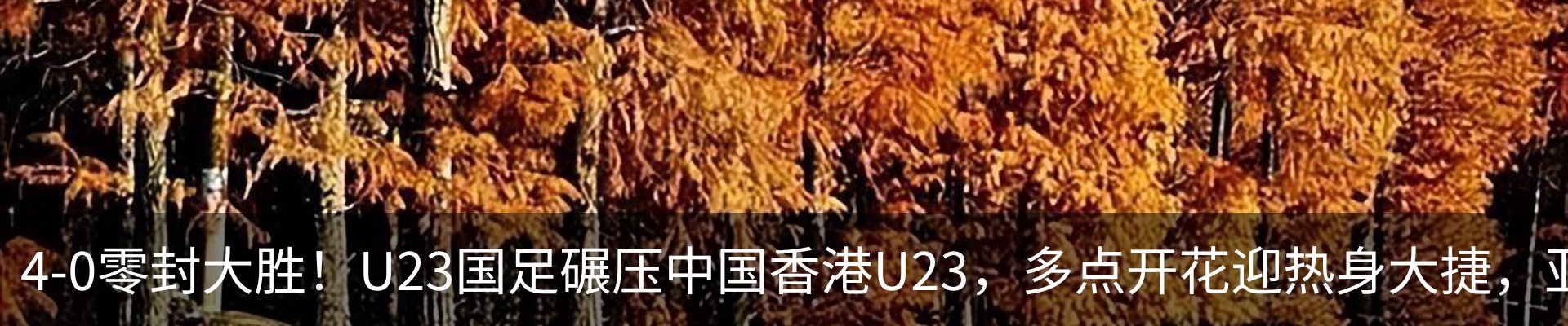 新闻动态