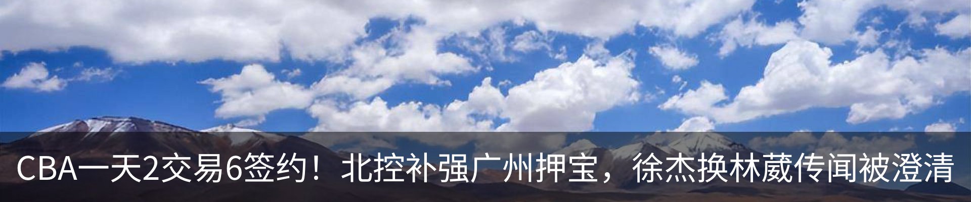 新闻动态
